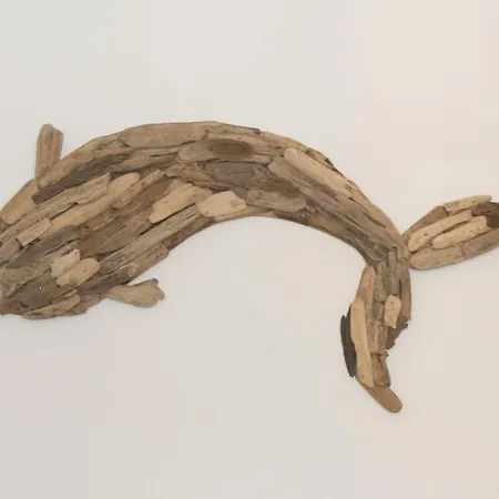 Dolphin فيلة *